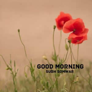 200+ Subh Somwar Good Morning Images HD